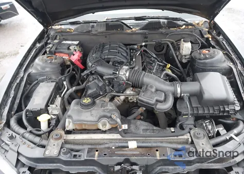 2011 Ford Mustang V6 Premium from USA, damaged, VIN 1ZVBP8AM3B5104618